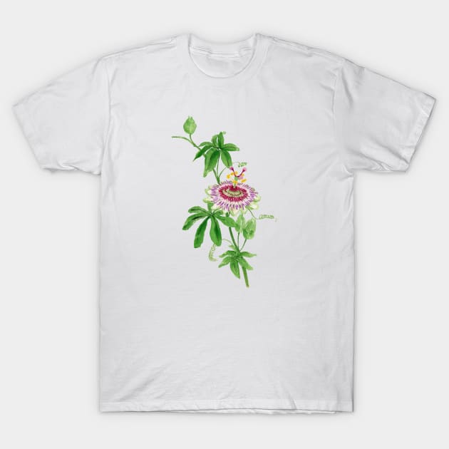 June 27th birthday flower T-Shirt by birthflower